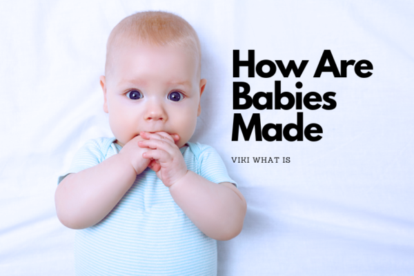 How Are Babies Made
