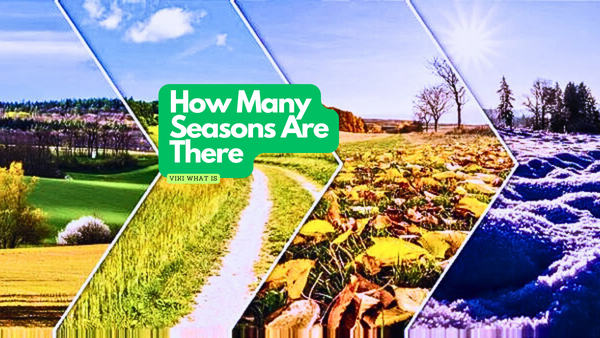 How Many Seasons Are There