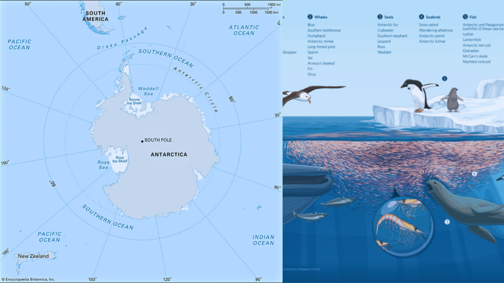 The Southern Ocean Antarctica's Protector