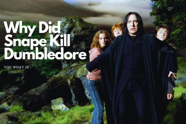 Why Did Snape Kill Dumbledore