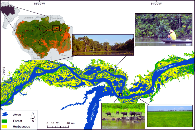 Biodiversity and Ecosystems Within Flood Plains