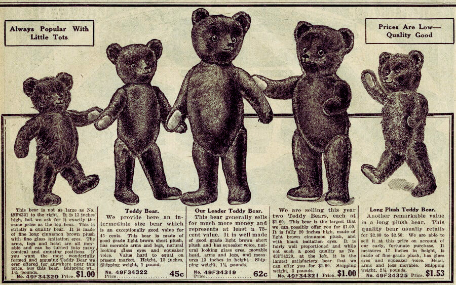 Evolution of Teddy Bears