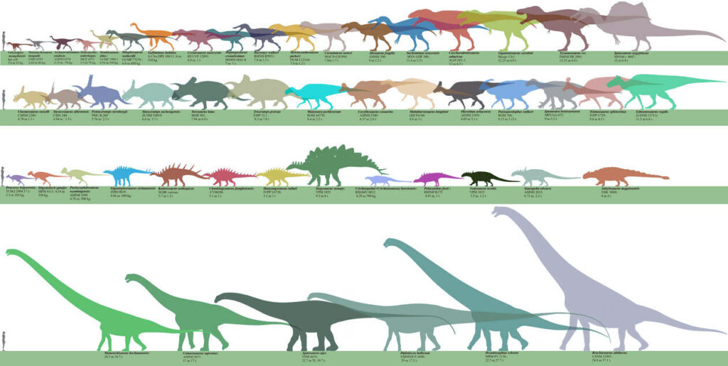 How Size Became the Key to Success in Dinosaur Evolution