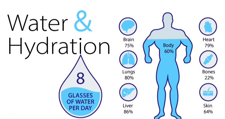 Hydration and Its Role