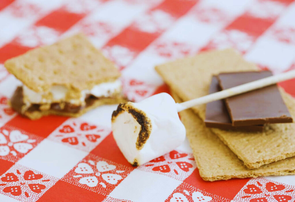 Role of Graham Crackers in Culinary Culture