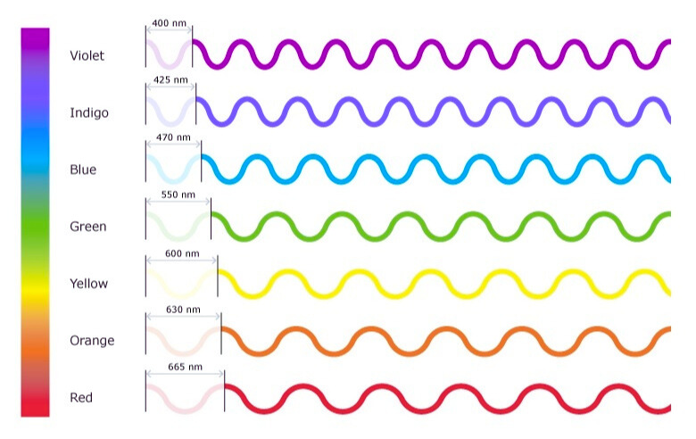 Role of Wavelengths in Color Perception