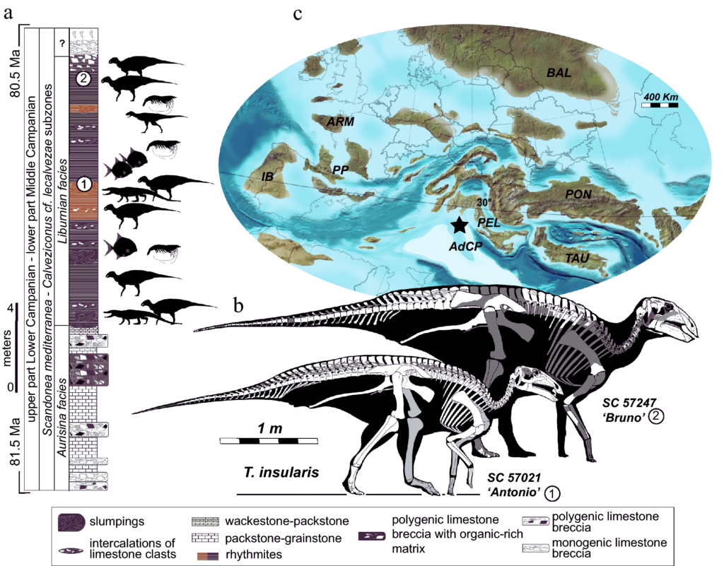 Shaping Dinosaur Sizes Through Earth's Dynamic Changes