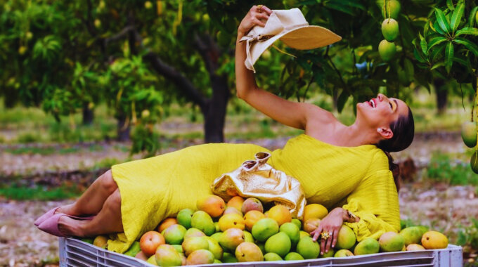 The Mango Harvest Calendar Unveiling Nature's Bounty