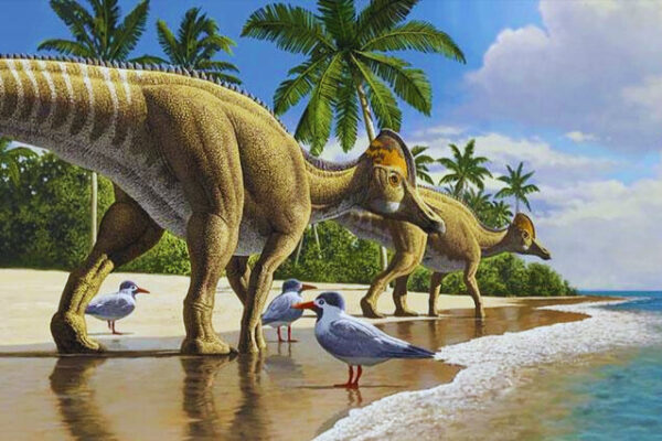 Why Were Dinosaurs So Big