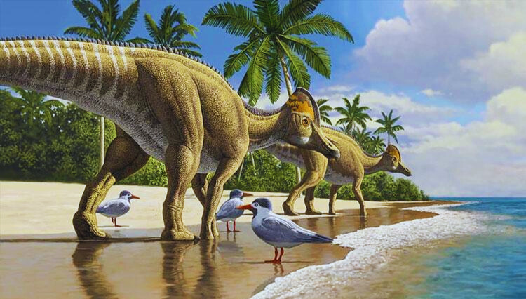 Why Were Dinosaurs So Big