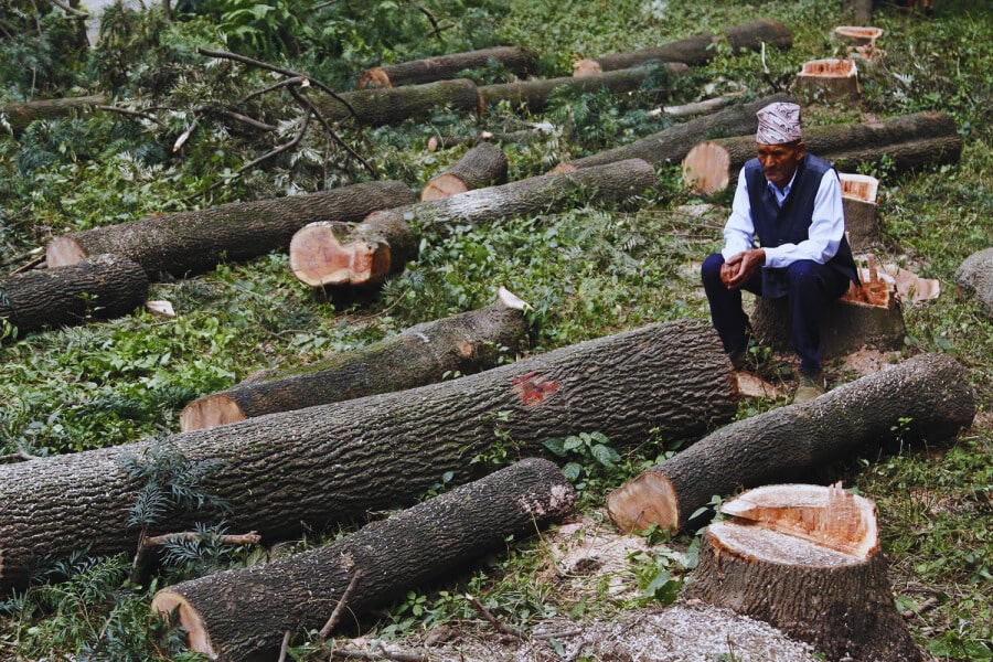 Case Studies Deforestation in Nepal