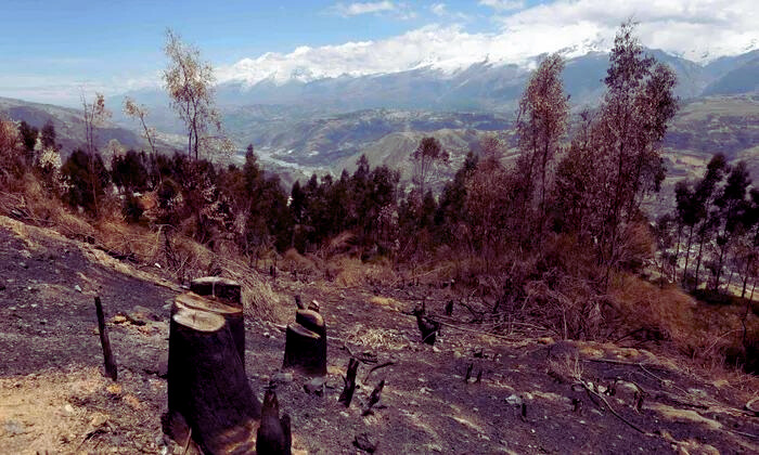 Extent of Deforestation in Nepal