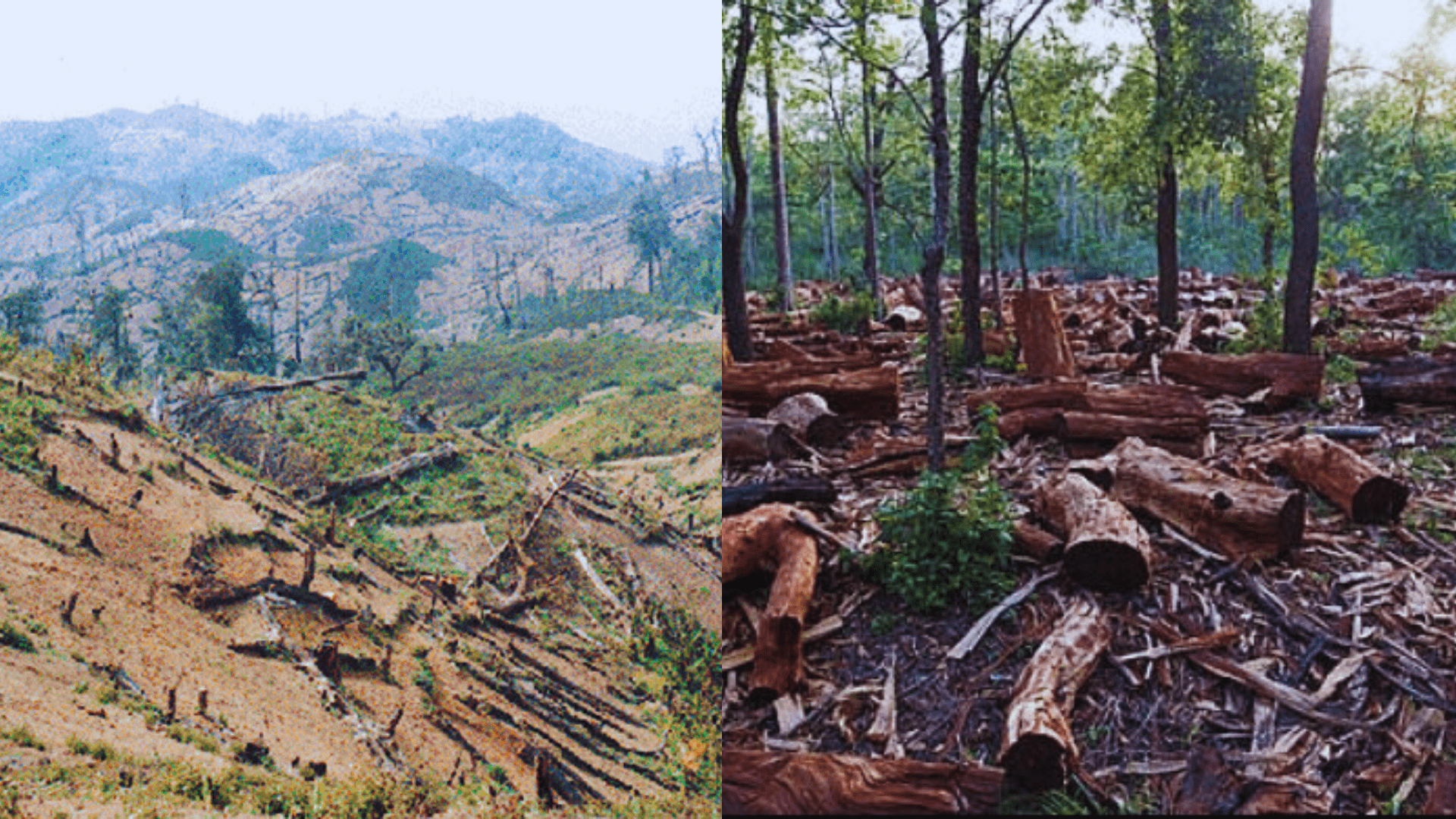 how does deforestation in nepal affect india