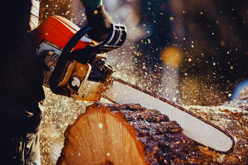 Chainsaw Transition to Woodcutting