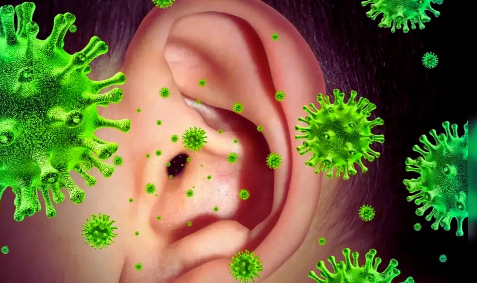 Bacteria and Viruses Ear infections