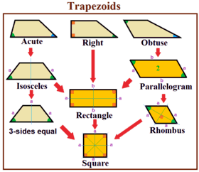 Understanding Trapezoids