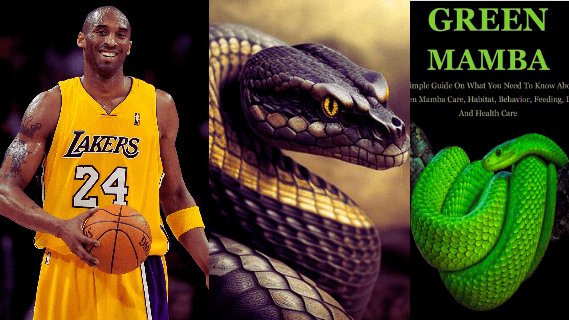What Does Mamba Mean