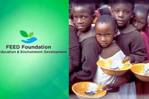 What is the Feed Foundation