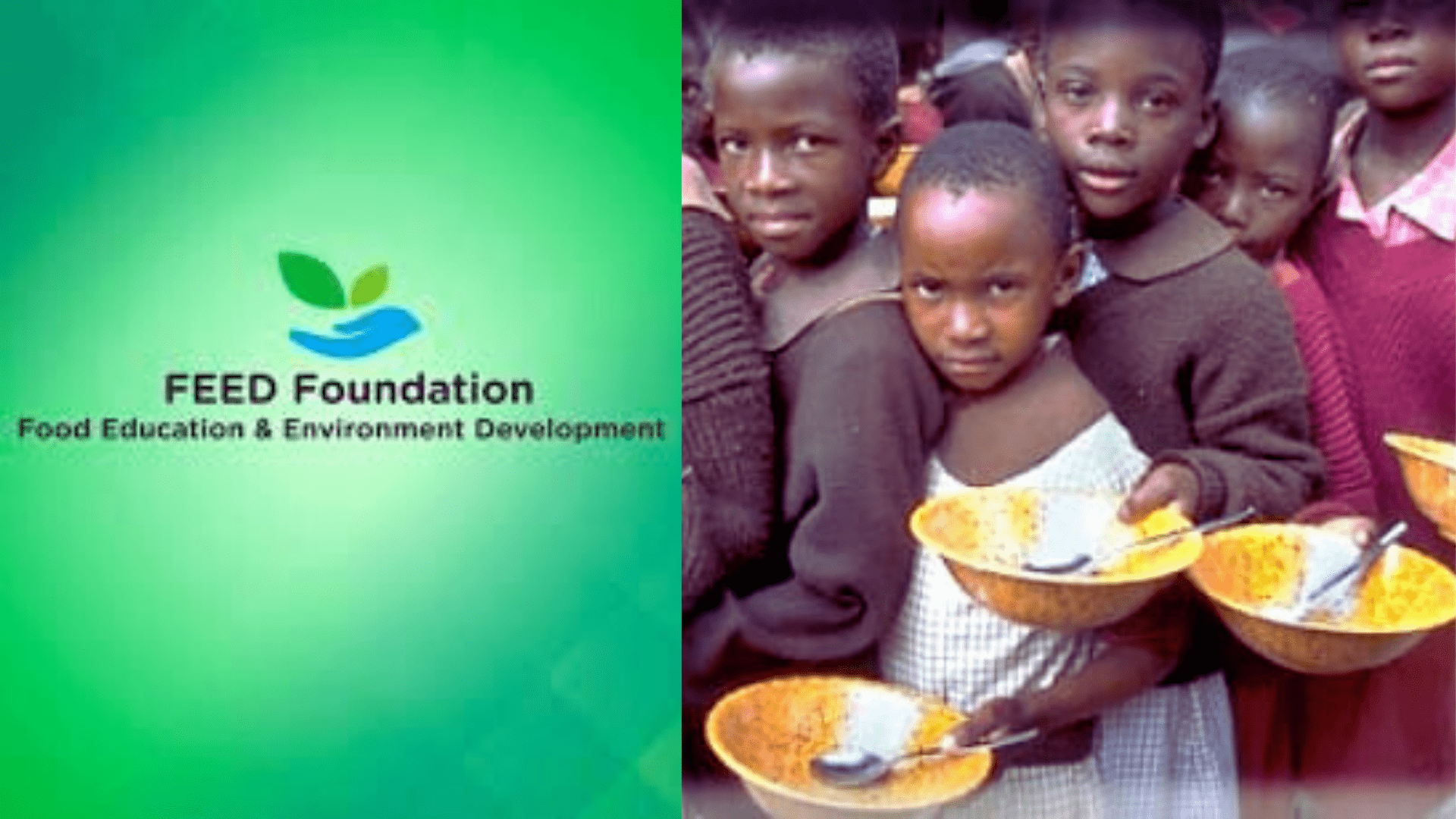 What is the Feed Foundation