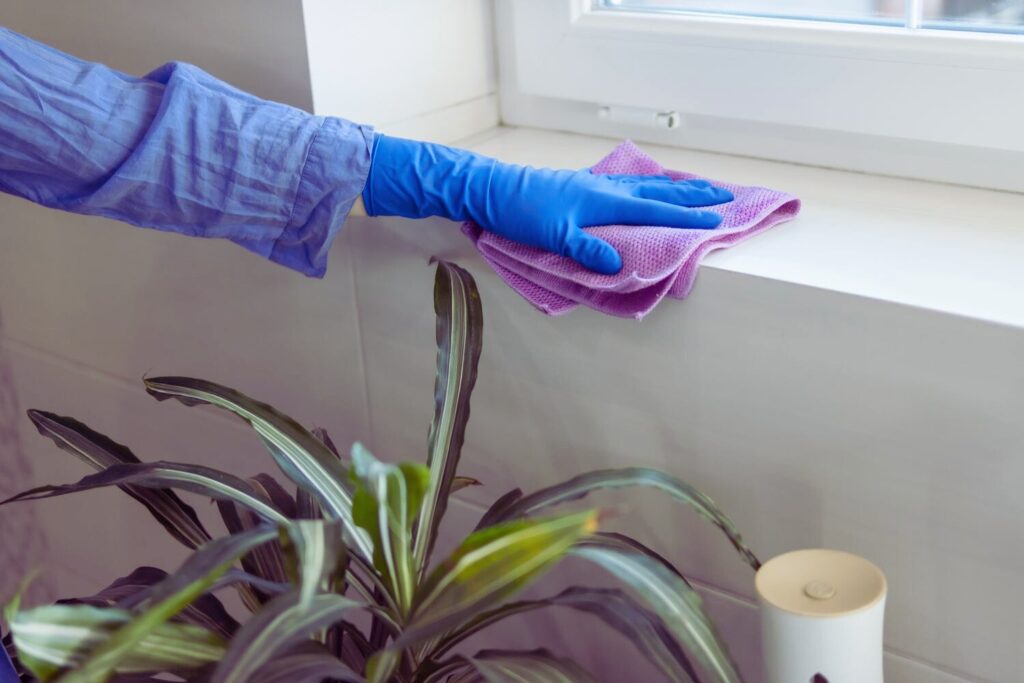 Preventing Mold Regrowth